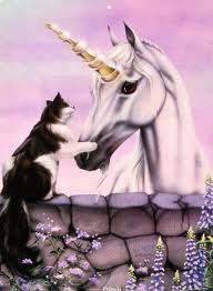 unicorncat1